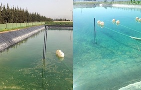 Bassins propre avant et après installation