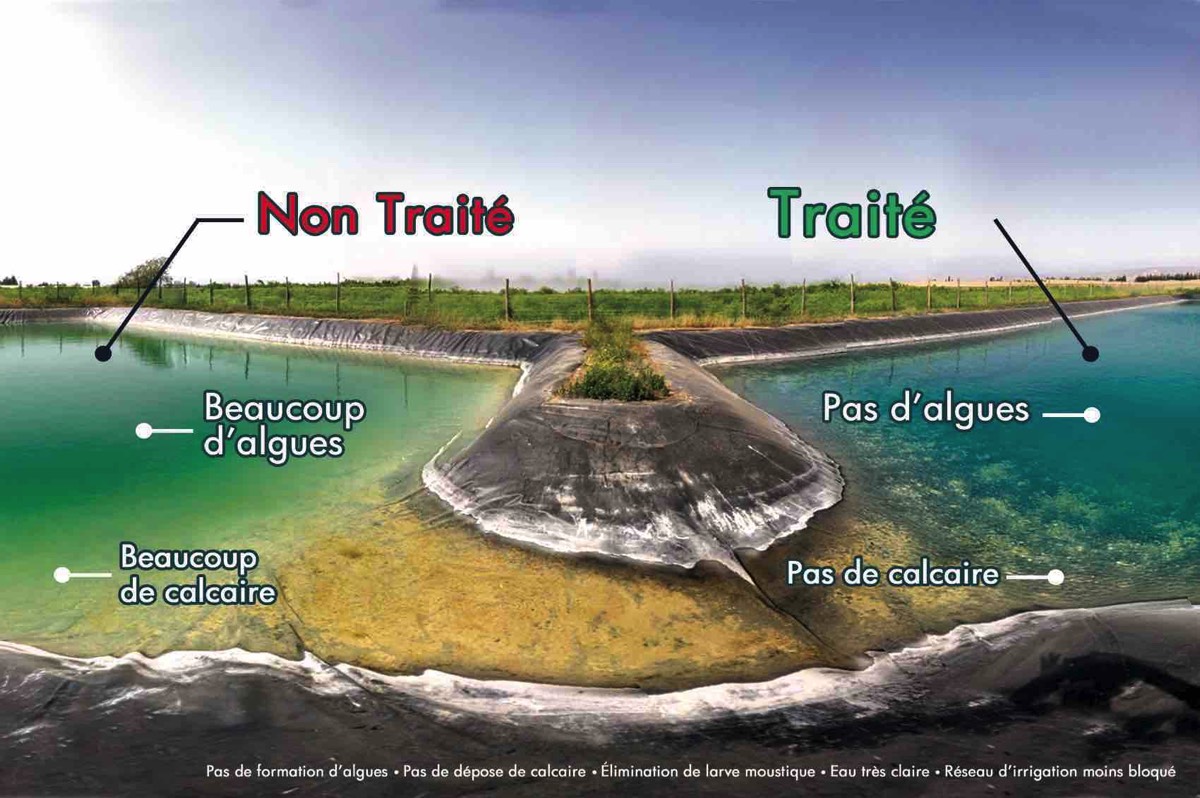 Traiter un bassin contre les algues