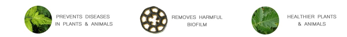 Banner Harsonic