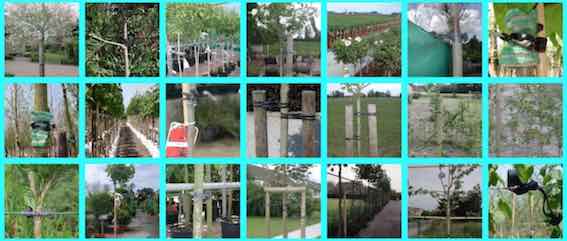 Collage Jardinage