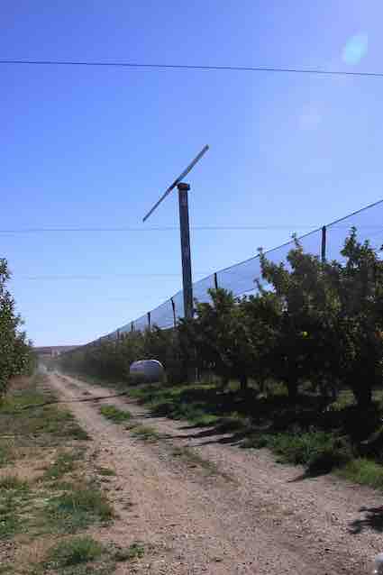 Lutet antigel avec des installations anti-grêle
